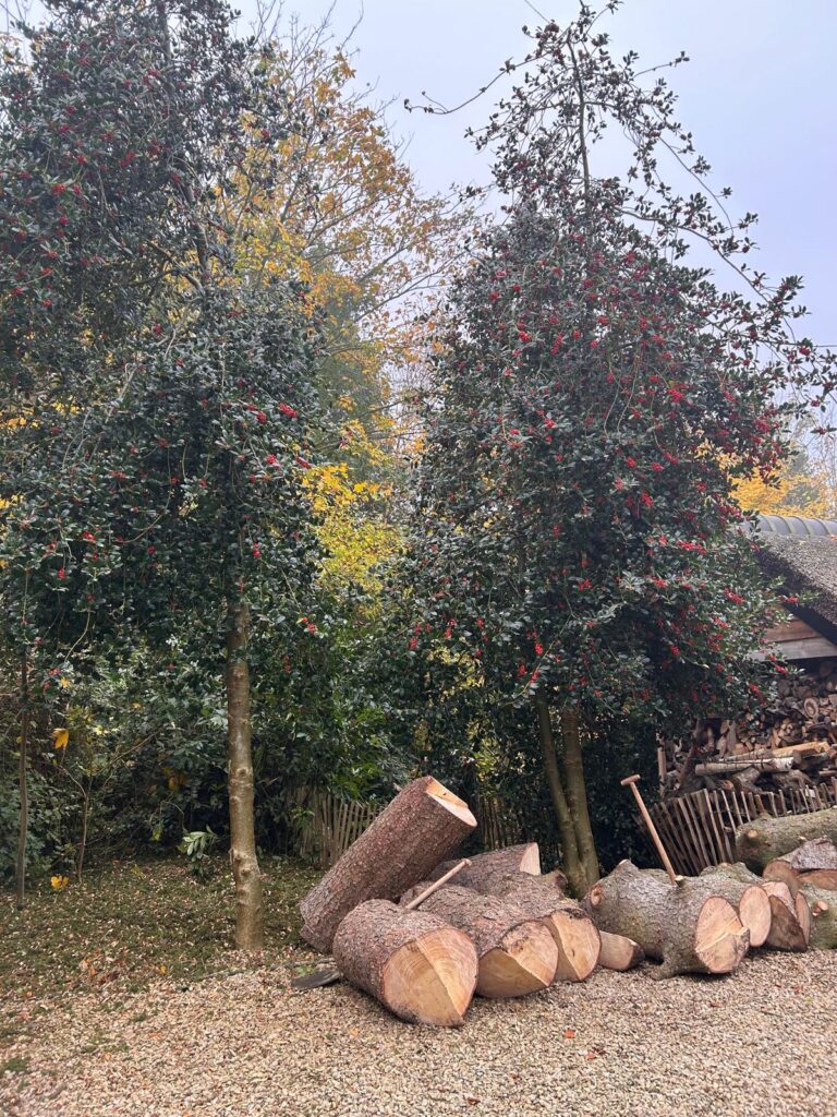 whatsapp image 2026 04 29 at 19.58.31 (3)
